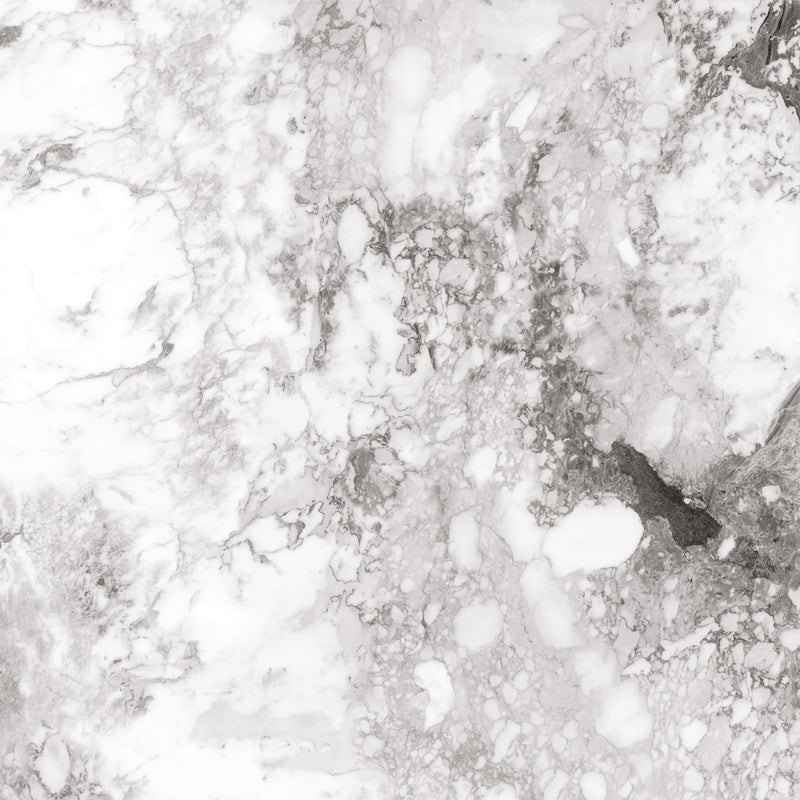 Artisan Arabescato Statuario Lustrous 120X120