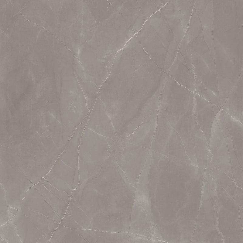 Artisan Armani Grey Mute 120X120