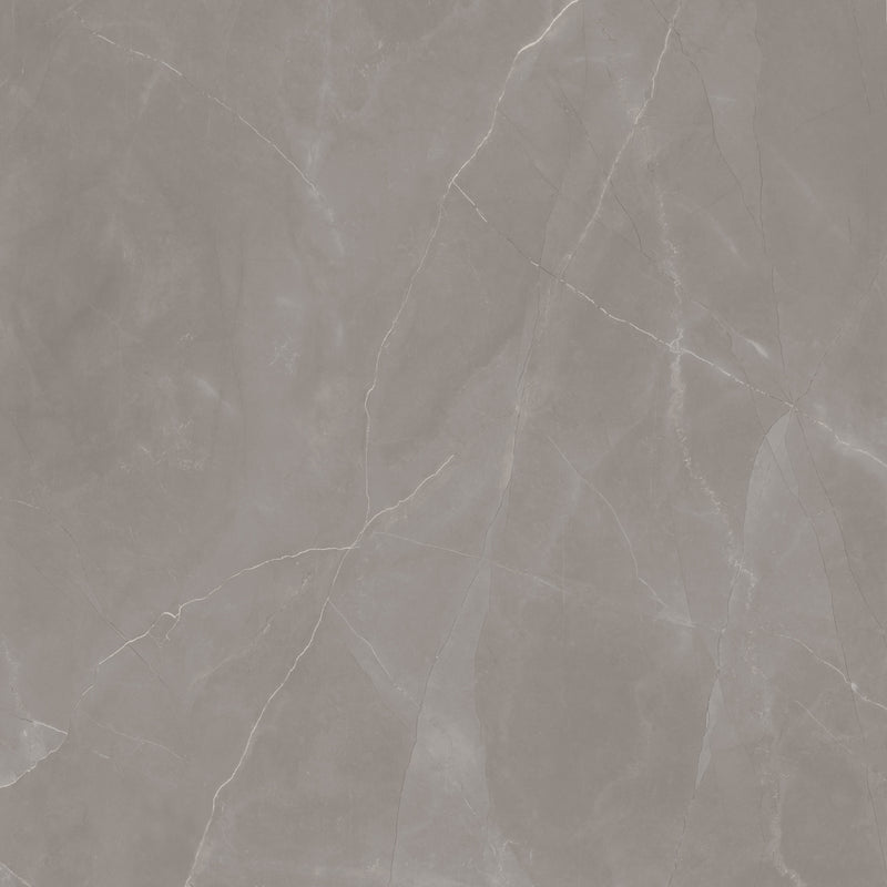 Artisan Armani Grey Mute 120X120