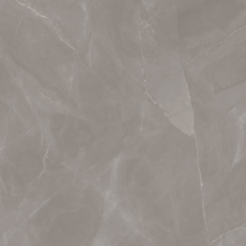 Artisan Armani Grey Mute 120X120