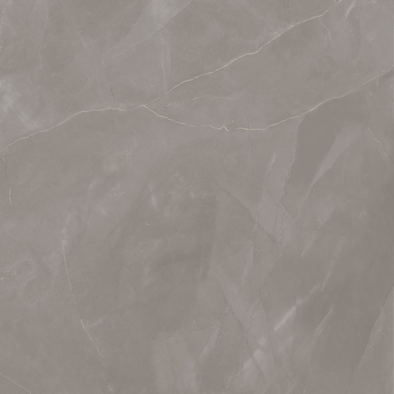 Artisan Armani Grey Mute 120X120