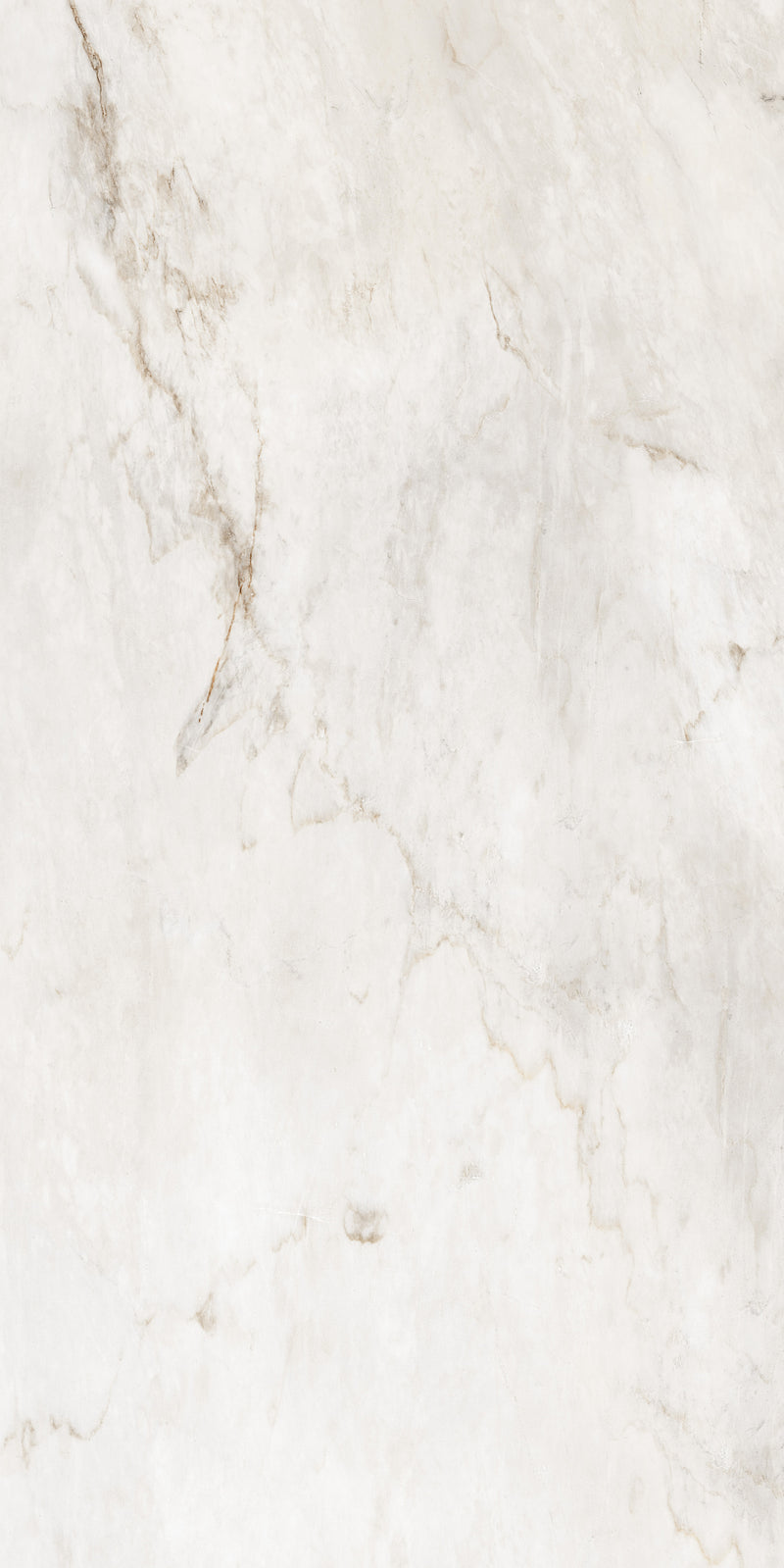 Artisan Calacatta Bianco Oro Lustrous 120X240