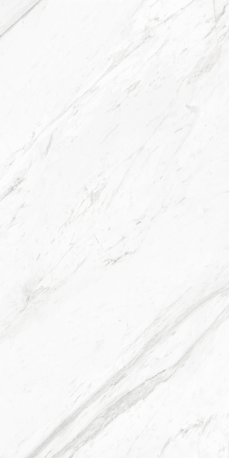 Artisan Statuario Platina Face C Lustrous 120X240