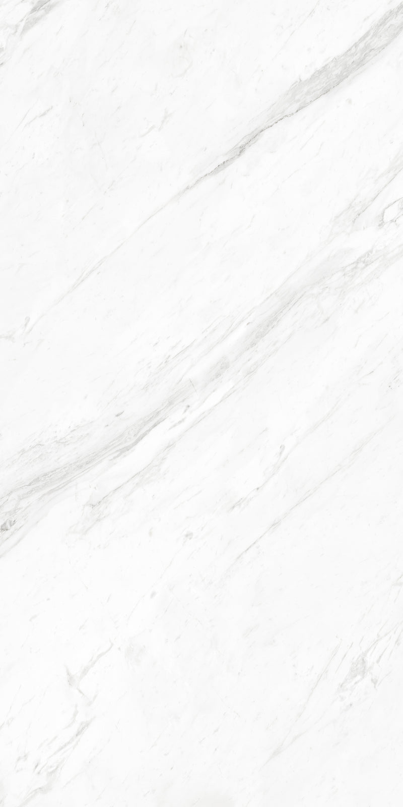 Artisan Statuario Platina Face C Lustrous 120X240