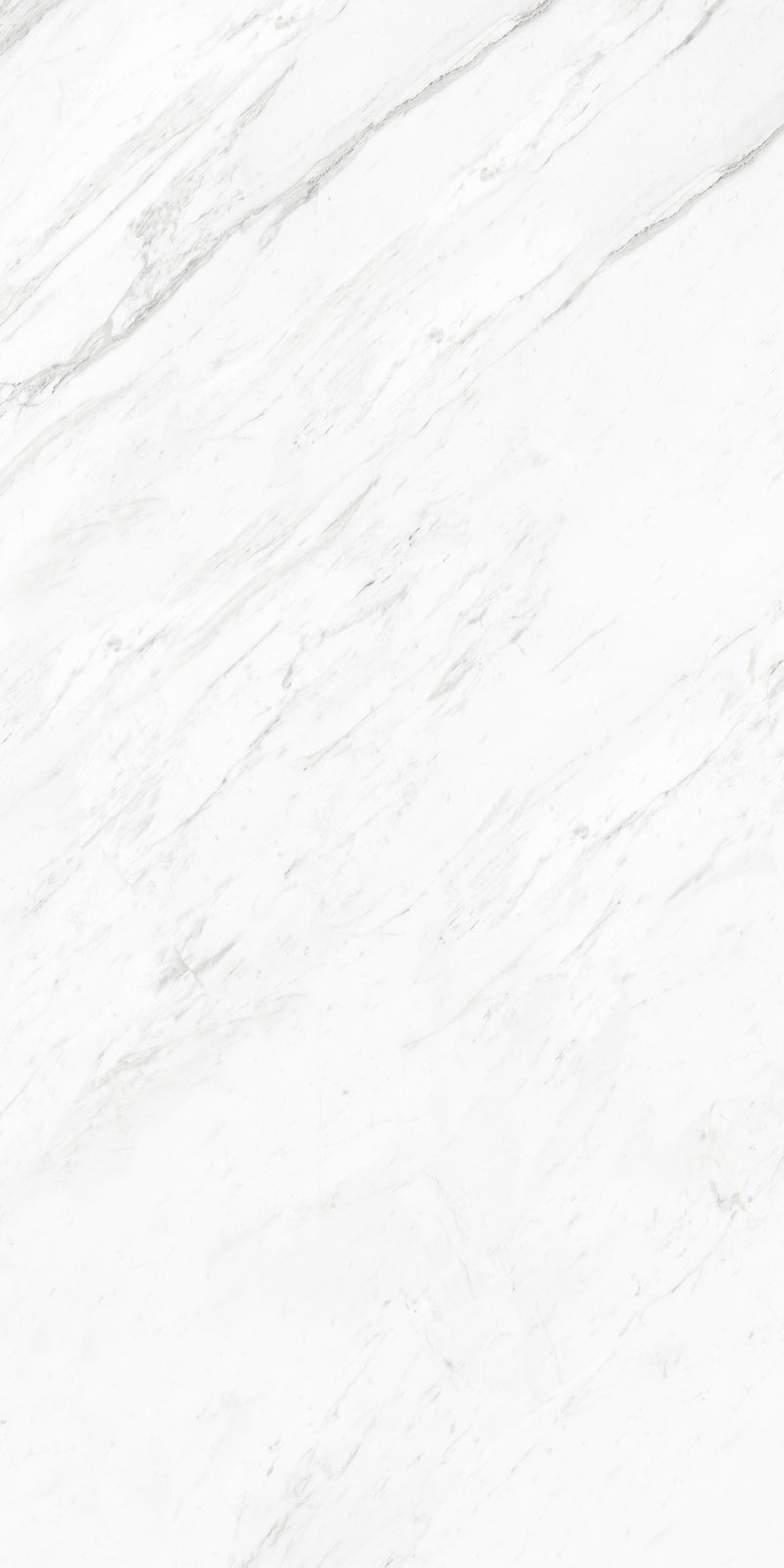 Artisan Statuario Platina Face C Lustrous 120X240