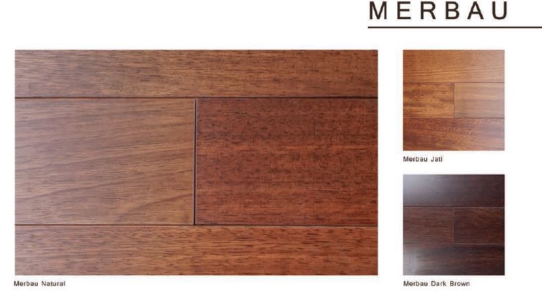 Bottega Wood Wallpanel Merbau Standart Panjang