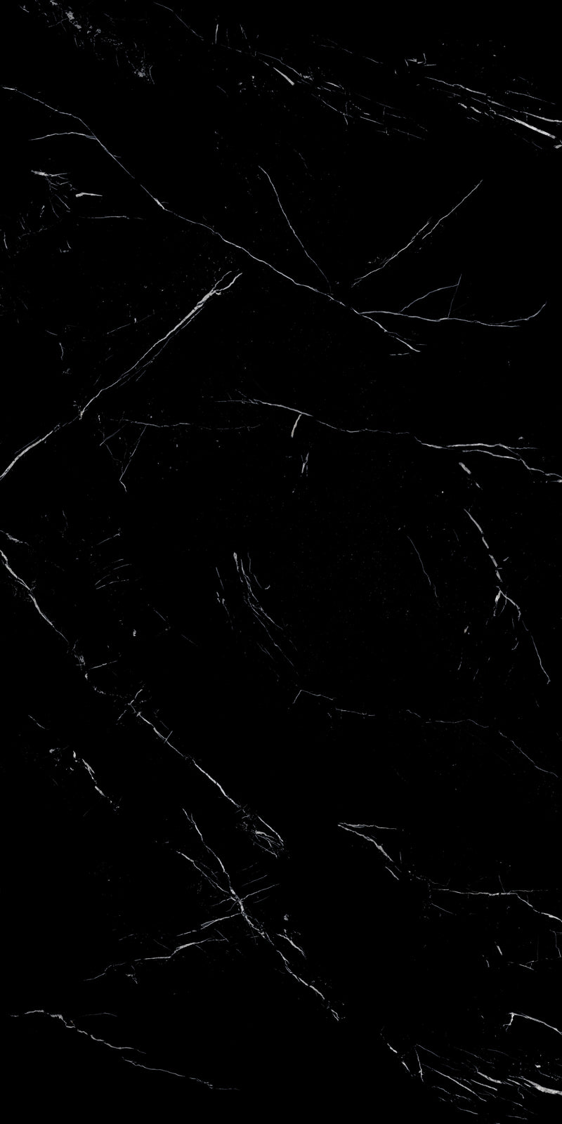 Artisan Nero Marquina Lustrous 120x240
