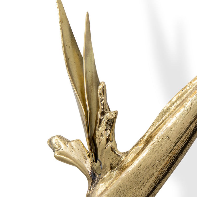 Pullcast Door Pull - Strelitzia EA1061