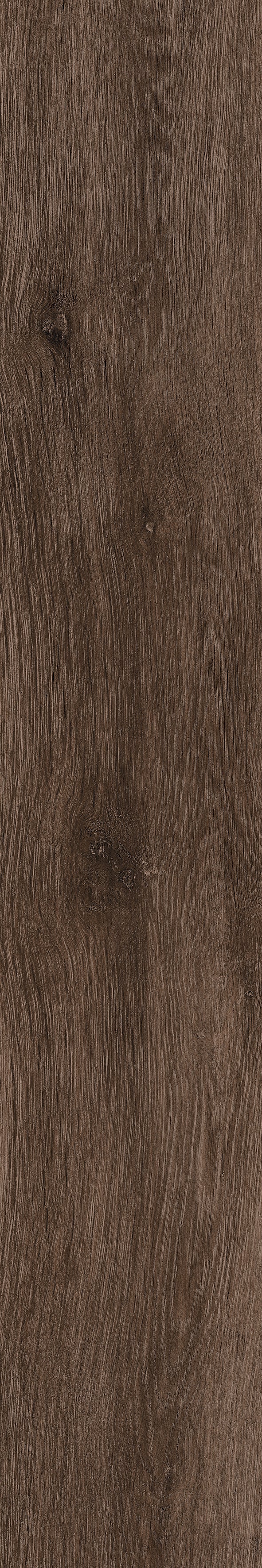 Exotica Kashmir Wood Wengue Matt 20X120