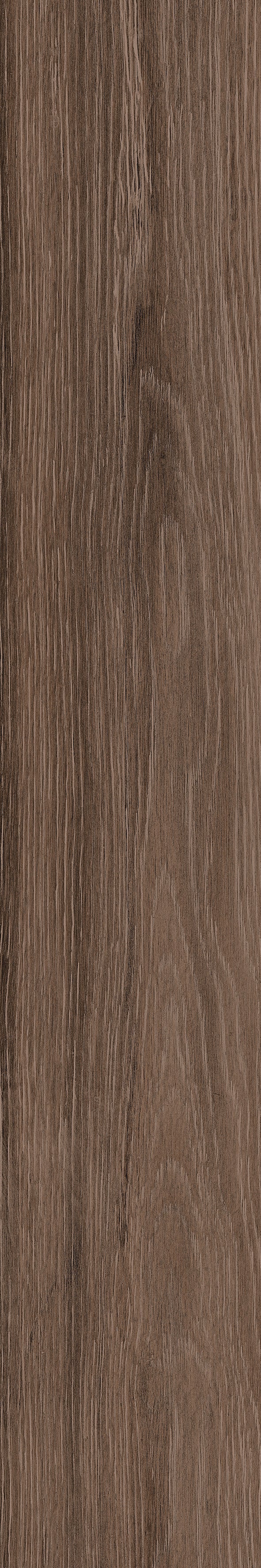 Exotica Kashmir Wood Wengue Matt 20X120