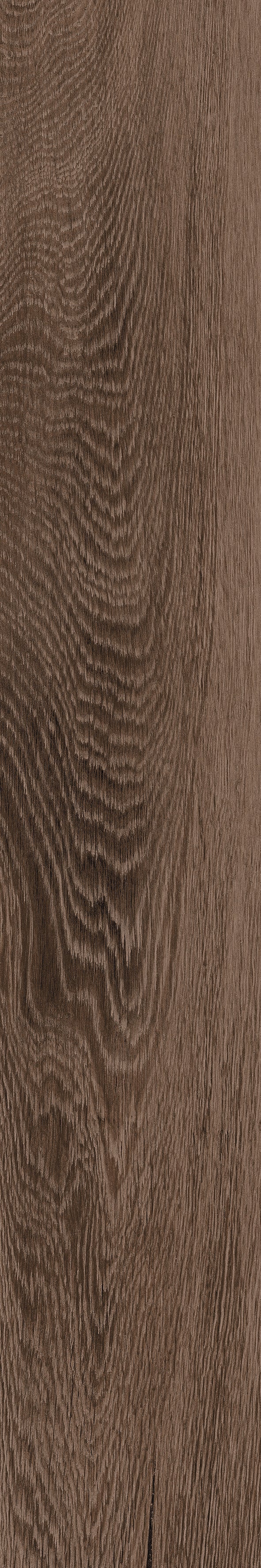 Exotica Kashmir Wood Wengue Matt 20X120